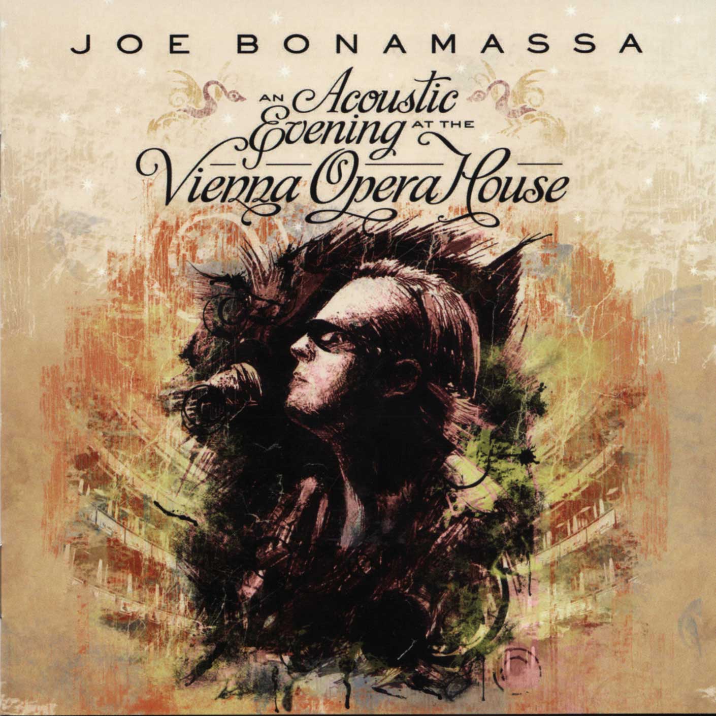 An Acoustic Evening At The Vienna Opera House